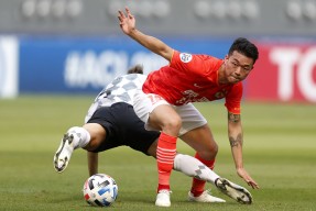 开云官方在线-亚冠精英联赛西亚区