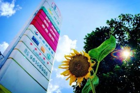 开云体育登录-戴雅队员身体状态绝佳，备战全力以赴，决心取得好成绩()